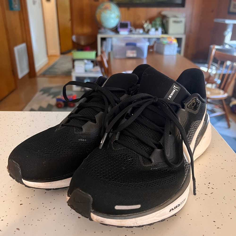 Nike Pegasus 41